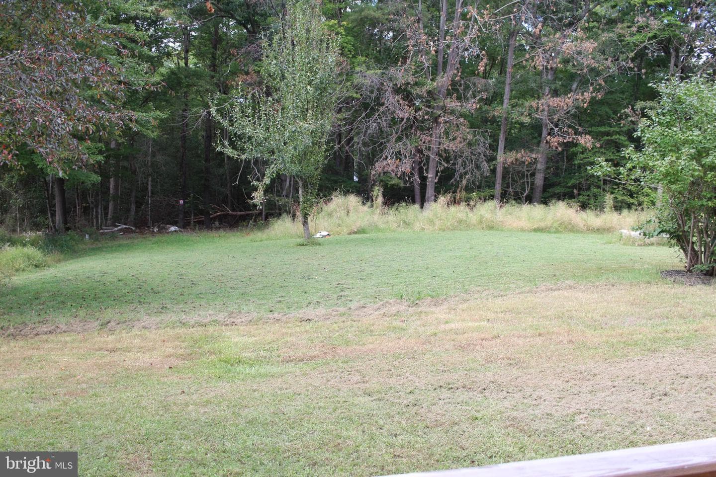 19791 Sams Way photo 7