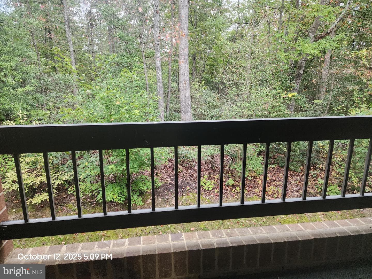 23240 Rosewood Court #7 photo 18