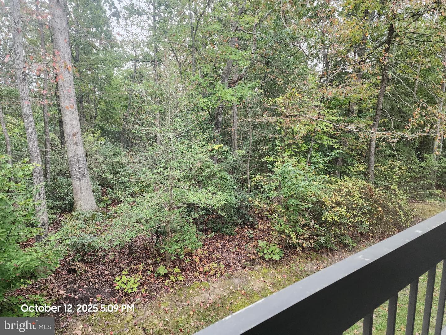 23240 Rosewood Court #7 photo 19
