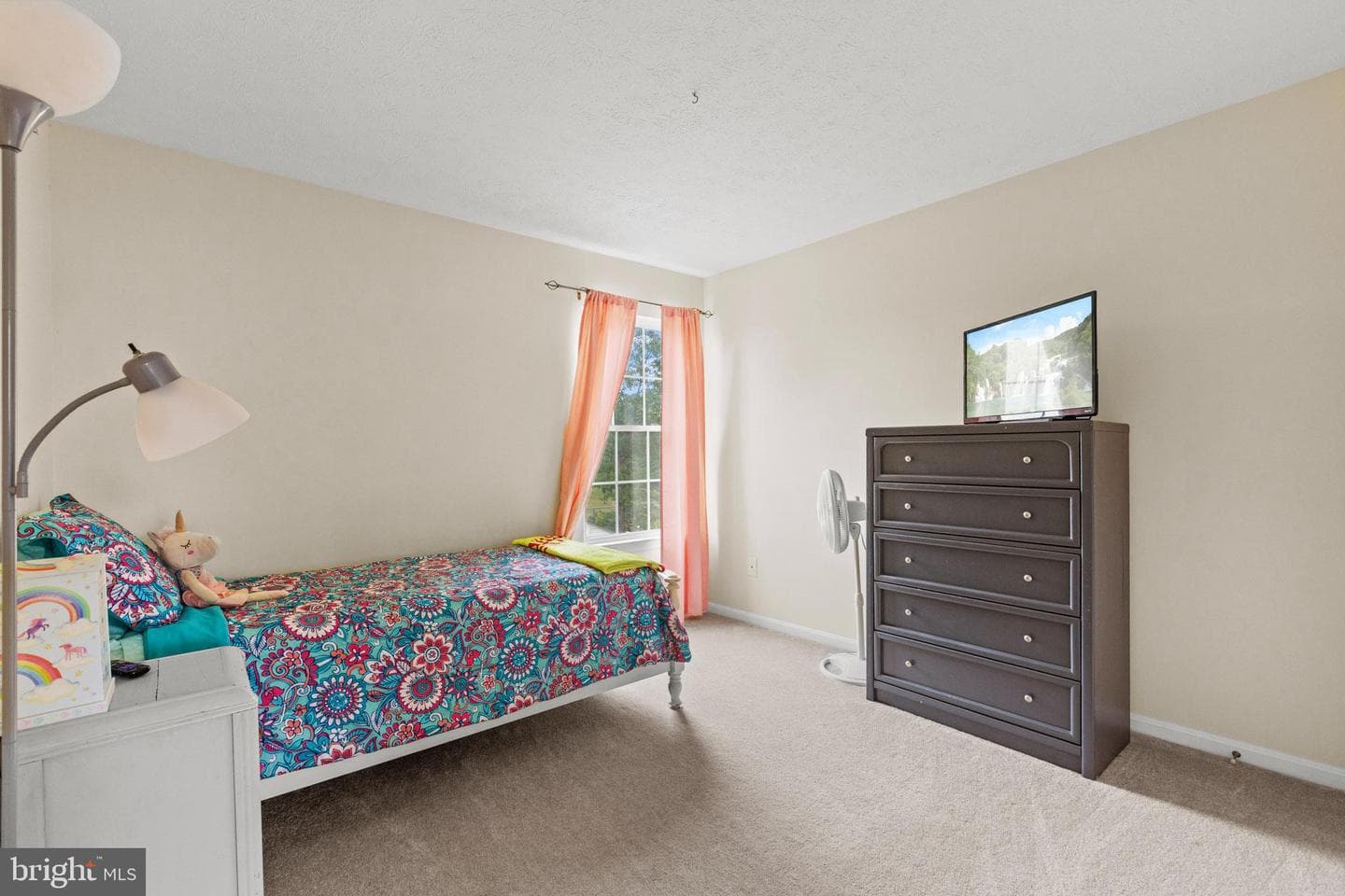 20932 Sawgrass Drive photo 26