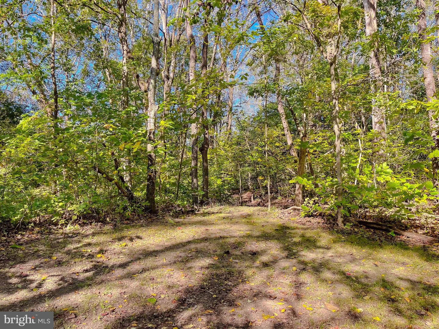 26005 Jones Wharf Road photo 57