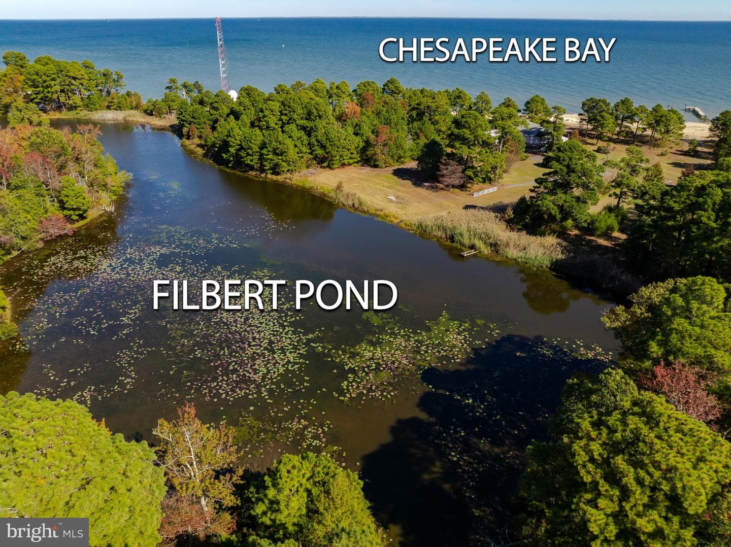 50645 Holly Point Road photo 23
