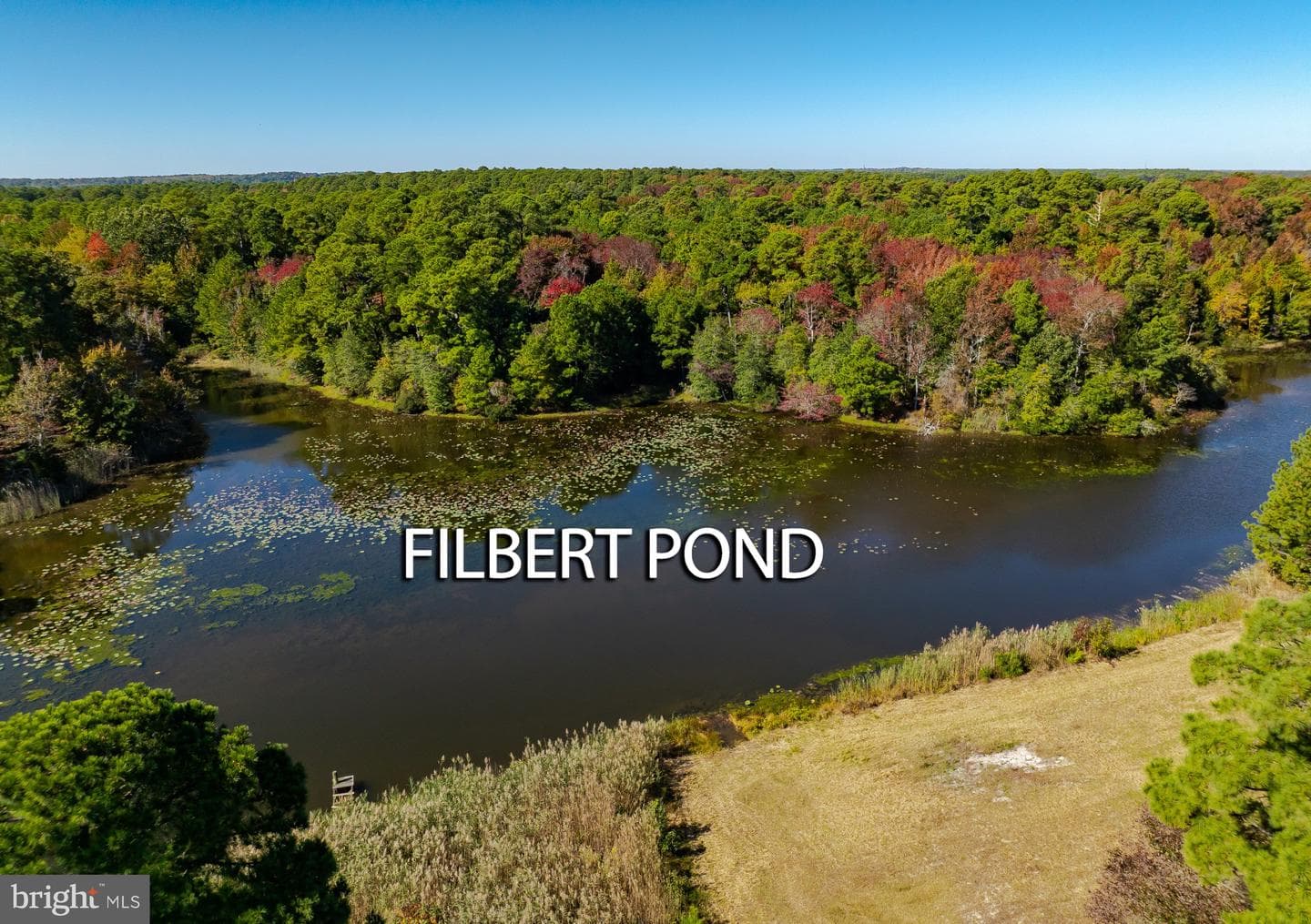 50645 Holly Point Road photo 34