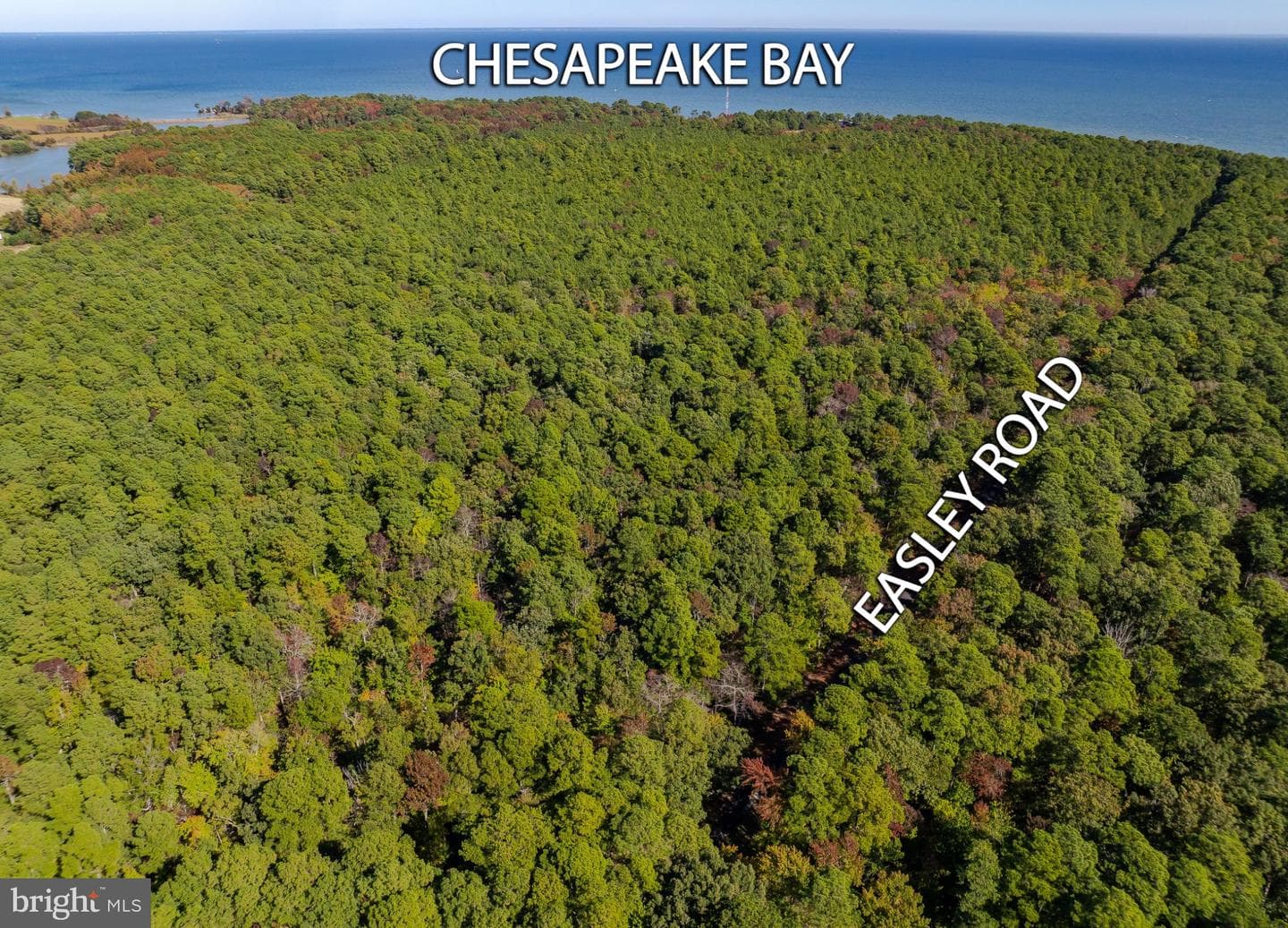 50645 Holly Point Road photo 37