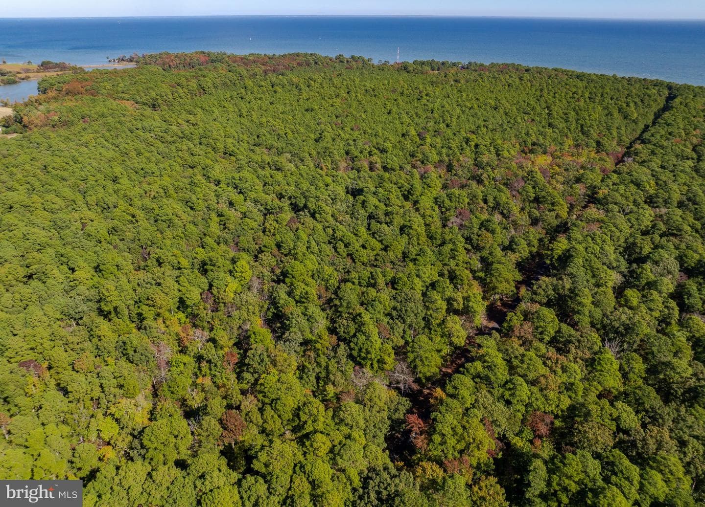 50645 Holly Point Road photo 54