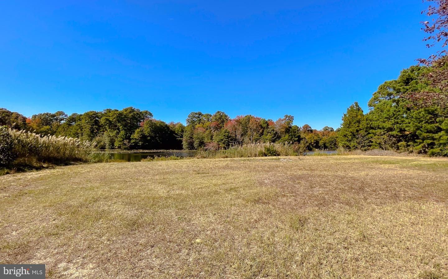 50645 Holly Point Road photo 65