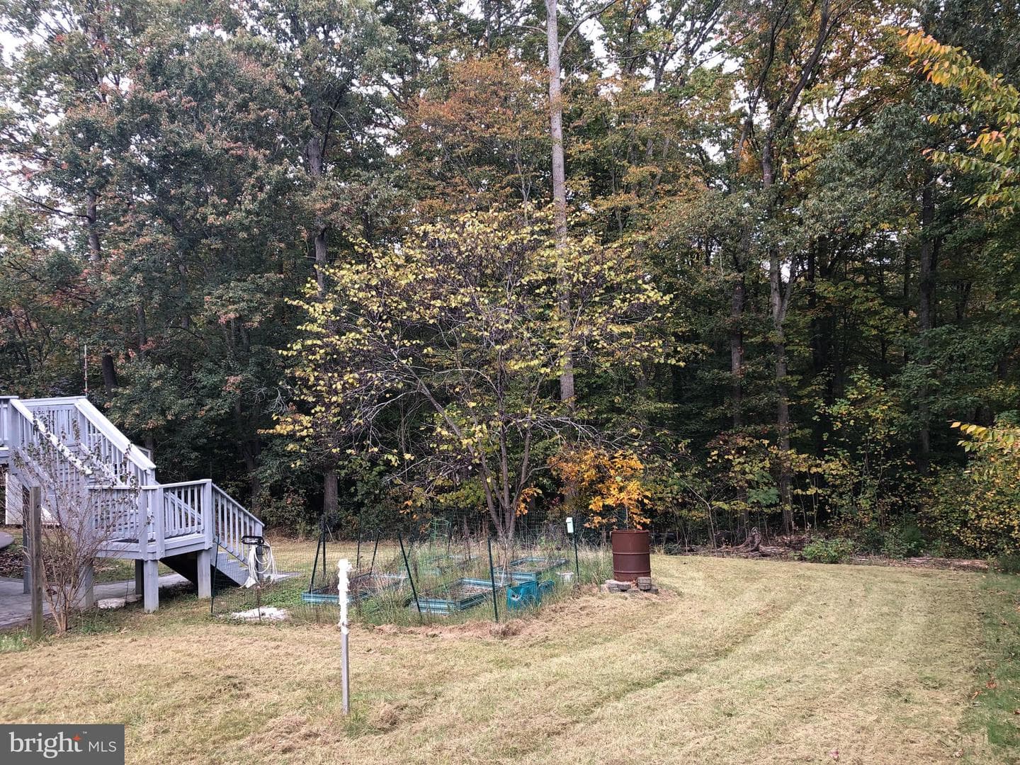 26984 Rita Way photo 43