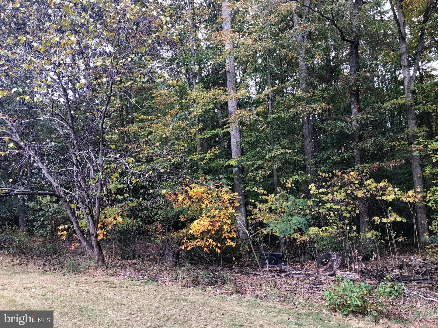 26984 Rita Way photo 44