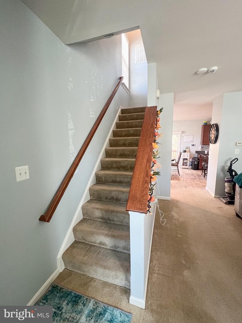 45568 Catalina Lane photo 32
