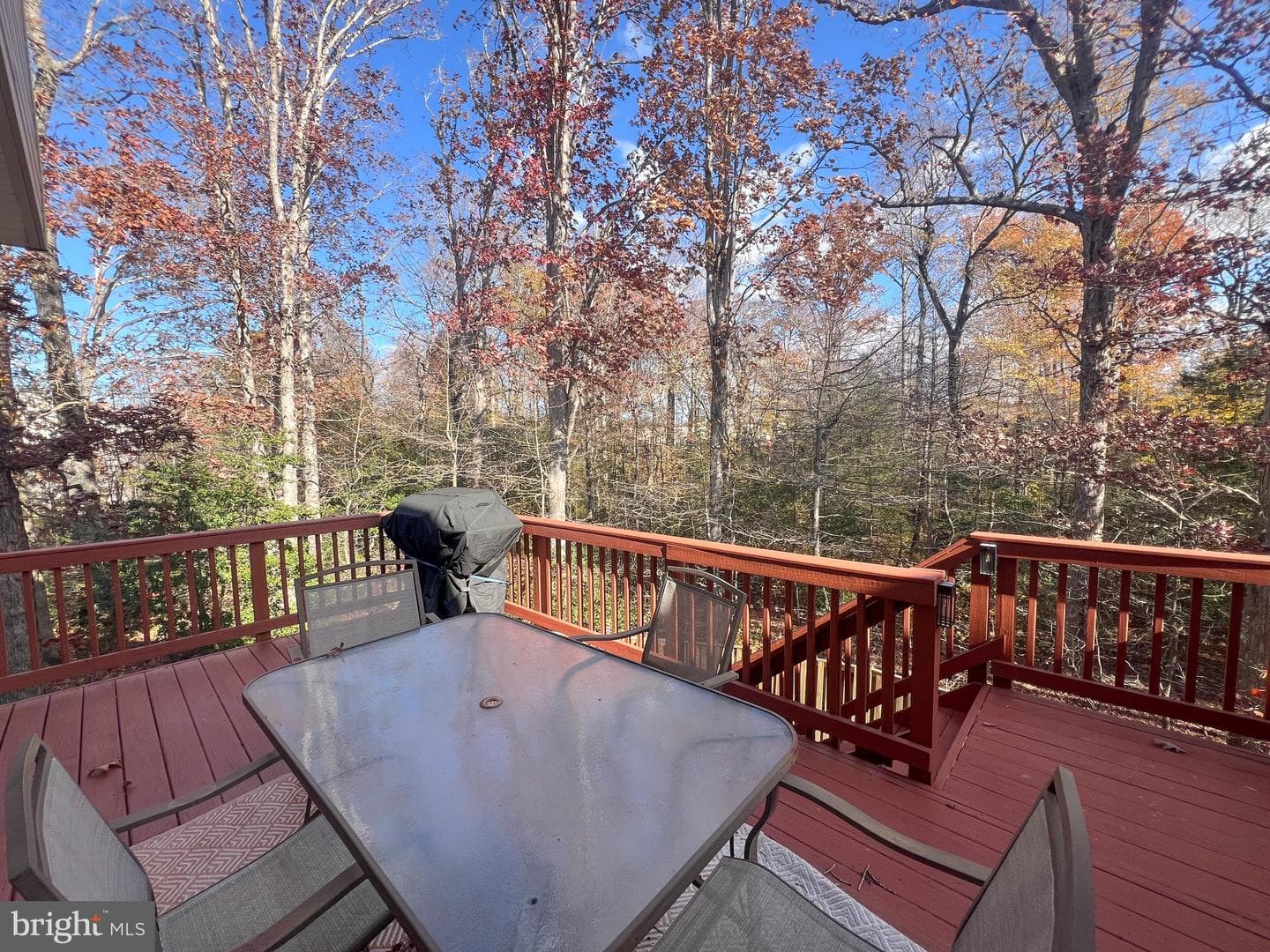45568 Catalina Lane photo 52