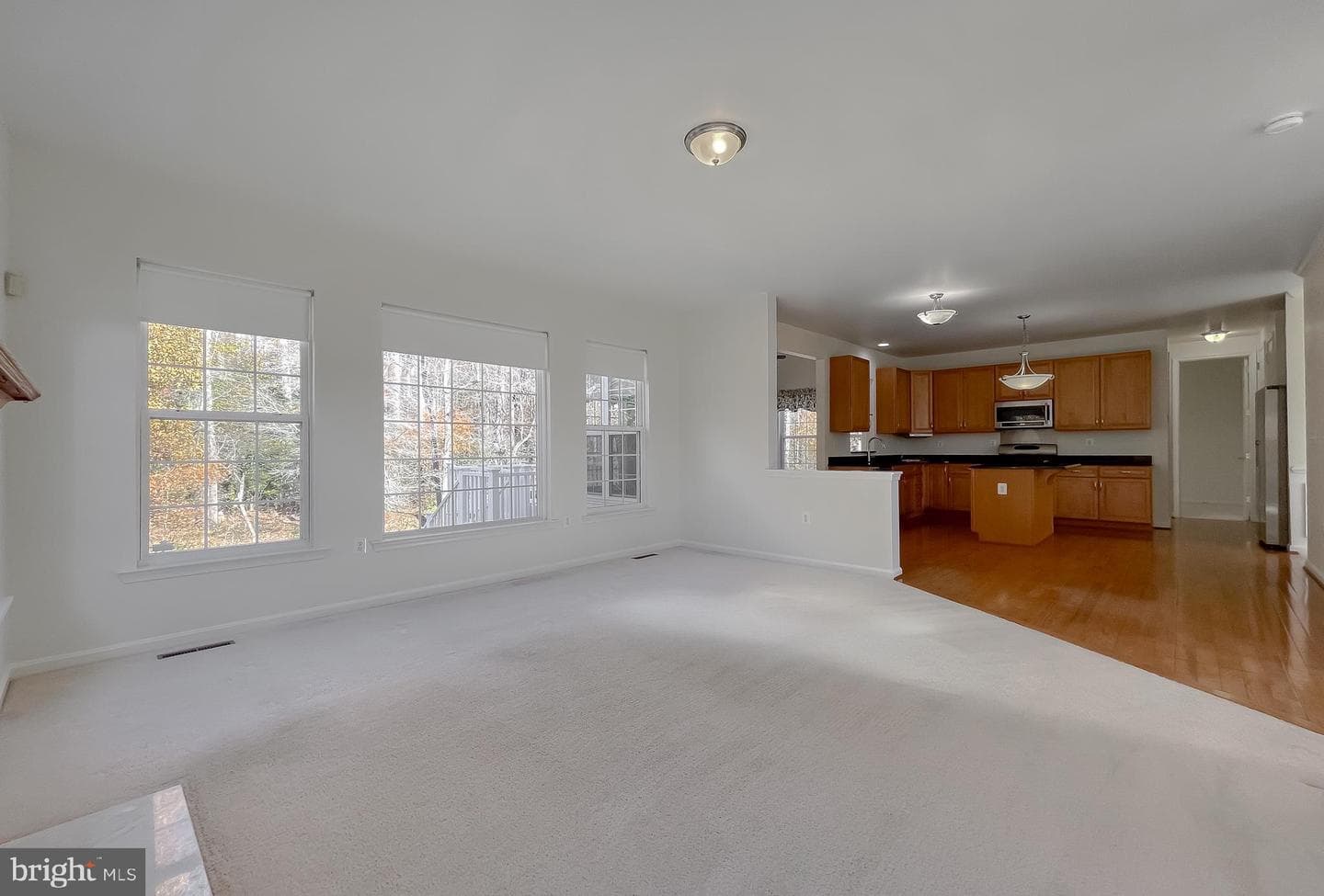 20907 Governors Mill Court photo 24
