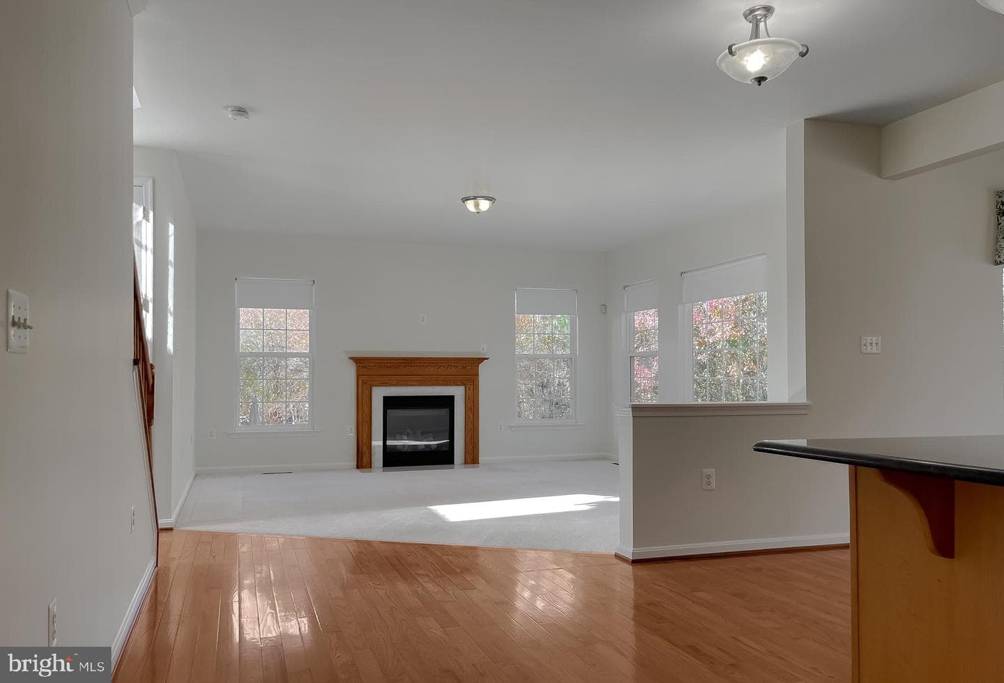 20907 Governors Mill Court photo 36