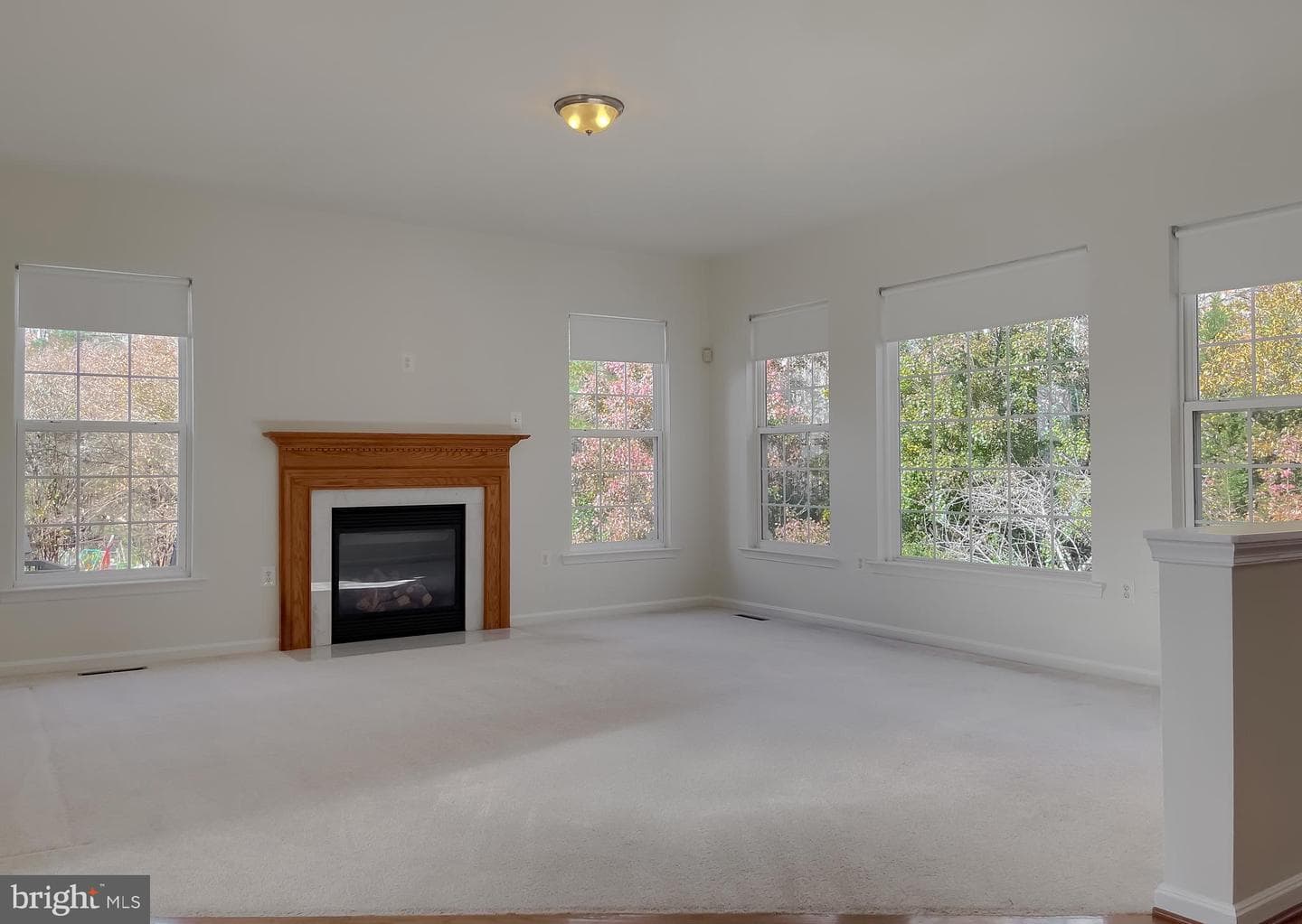 20907 Governors Mill Court photo 37