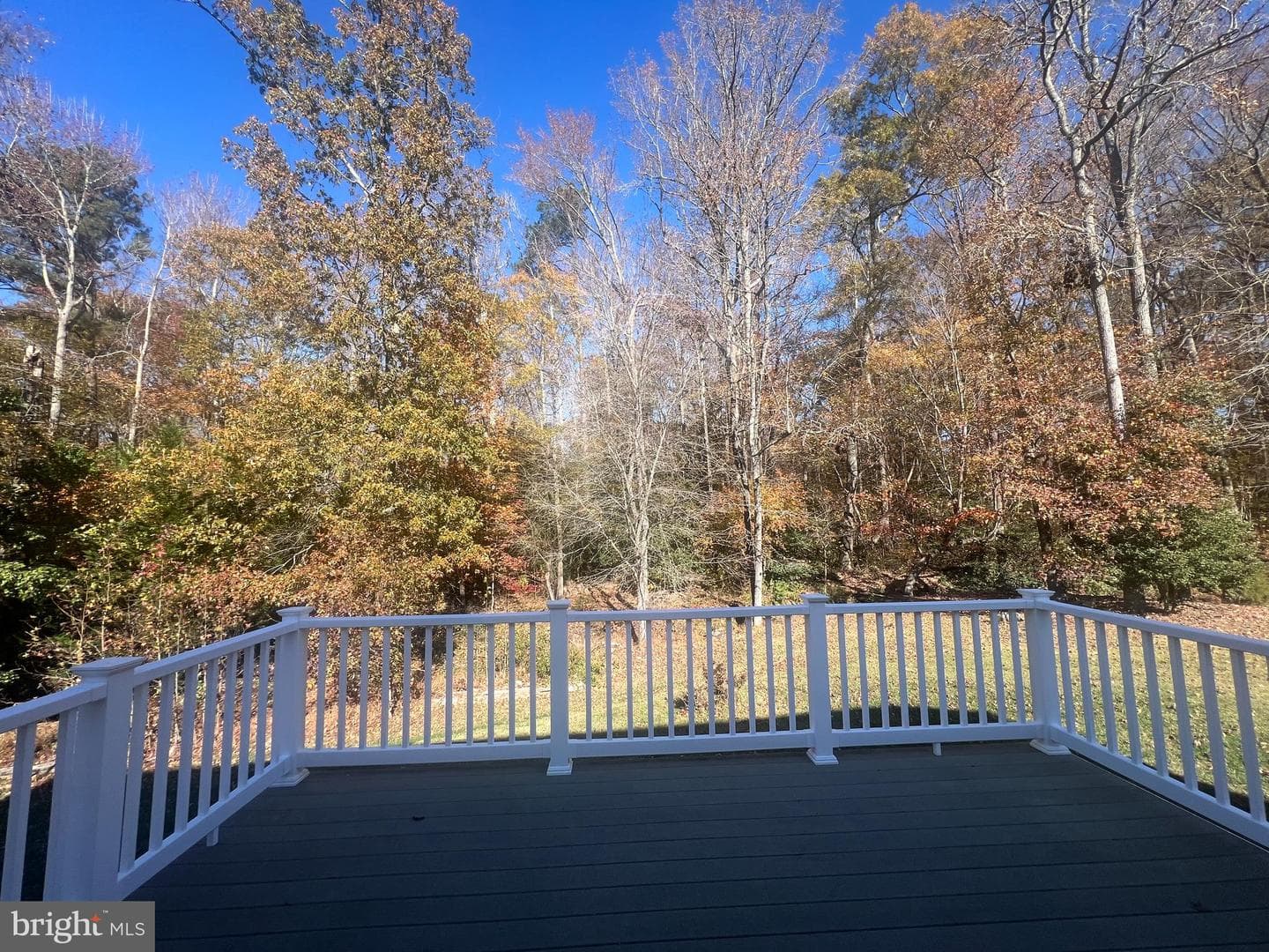 20907 Governors Mill Court photo 76