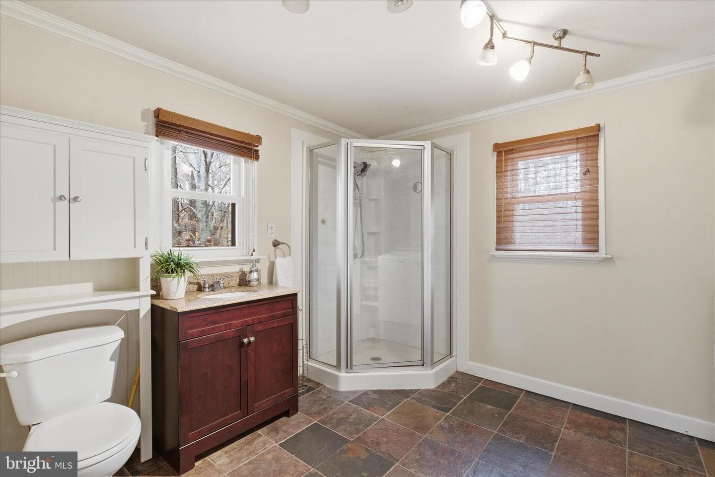 27420 Birch Manor Circle photo 11