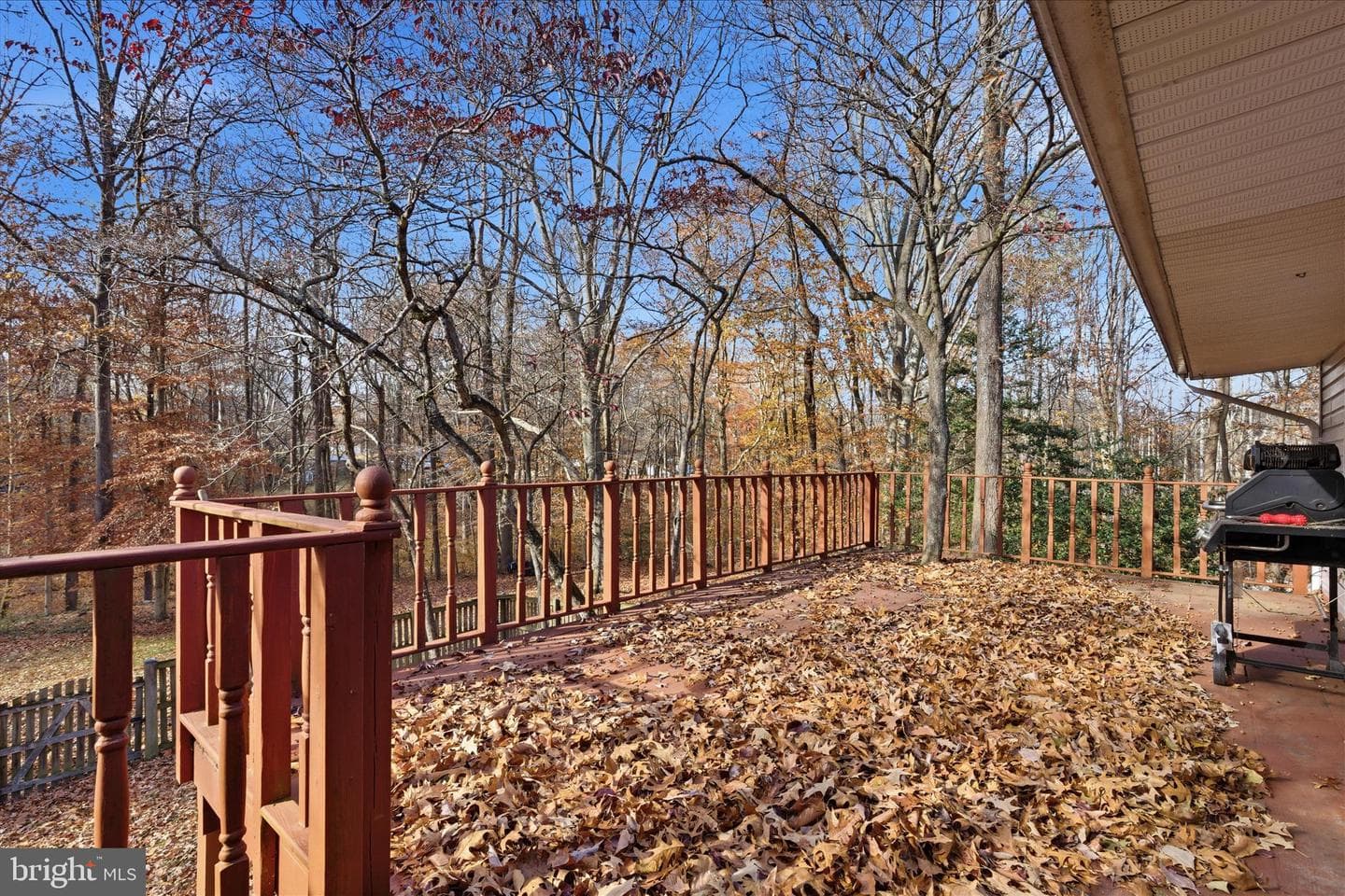 27420 Birch Manor Circle photo 18