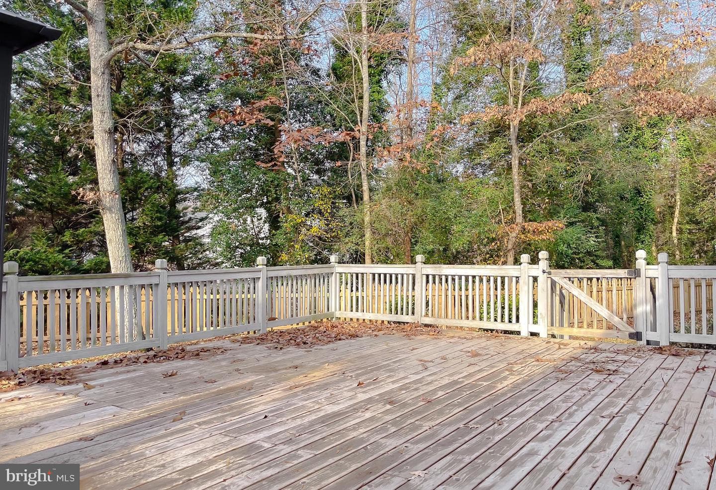 23041 Ash Court photo 65