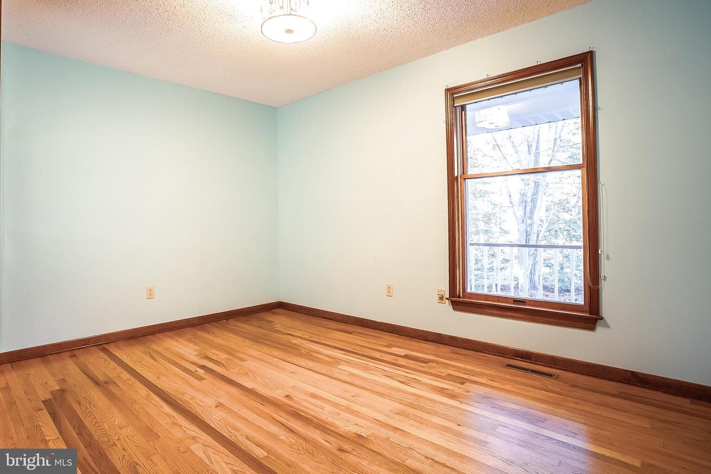43543 Bayberry Court photo 15