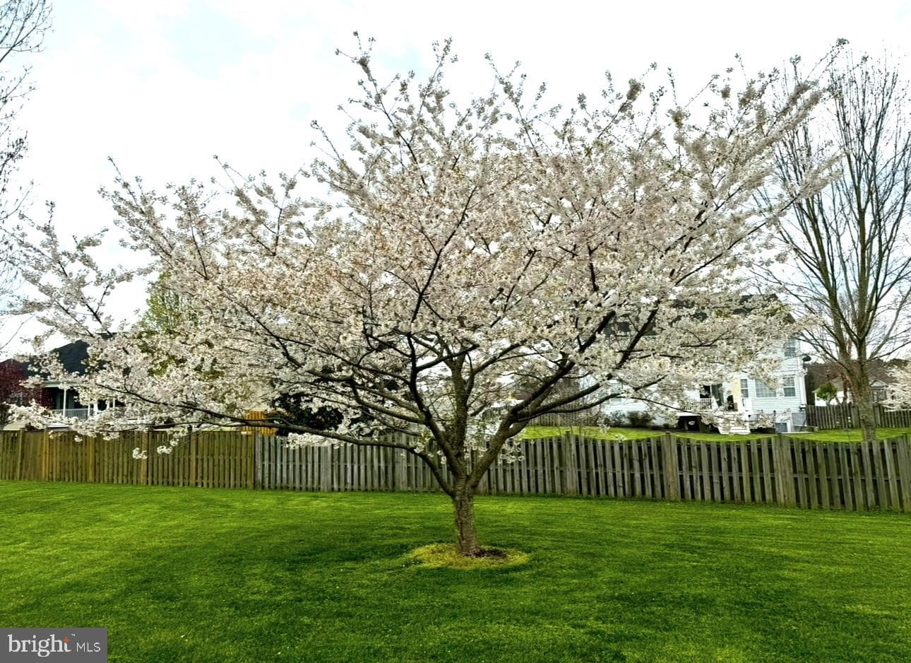 42975 Baywood Place photo 64