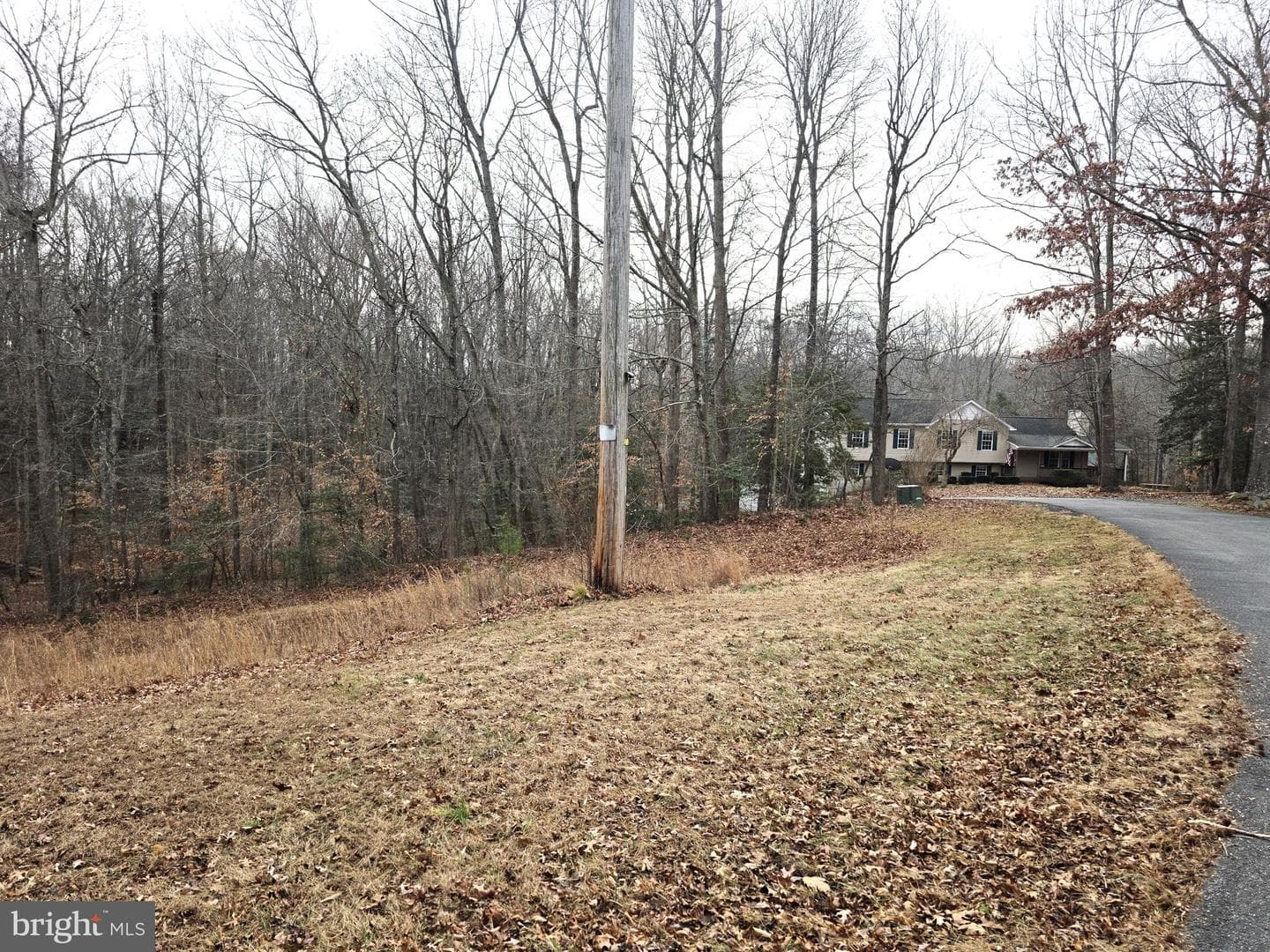 25845 Cusic Lane photo 9