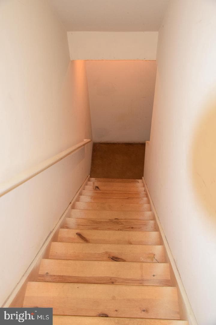 47286 Shelby Leigh Court photo 22