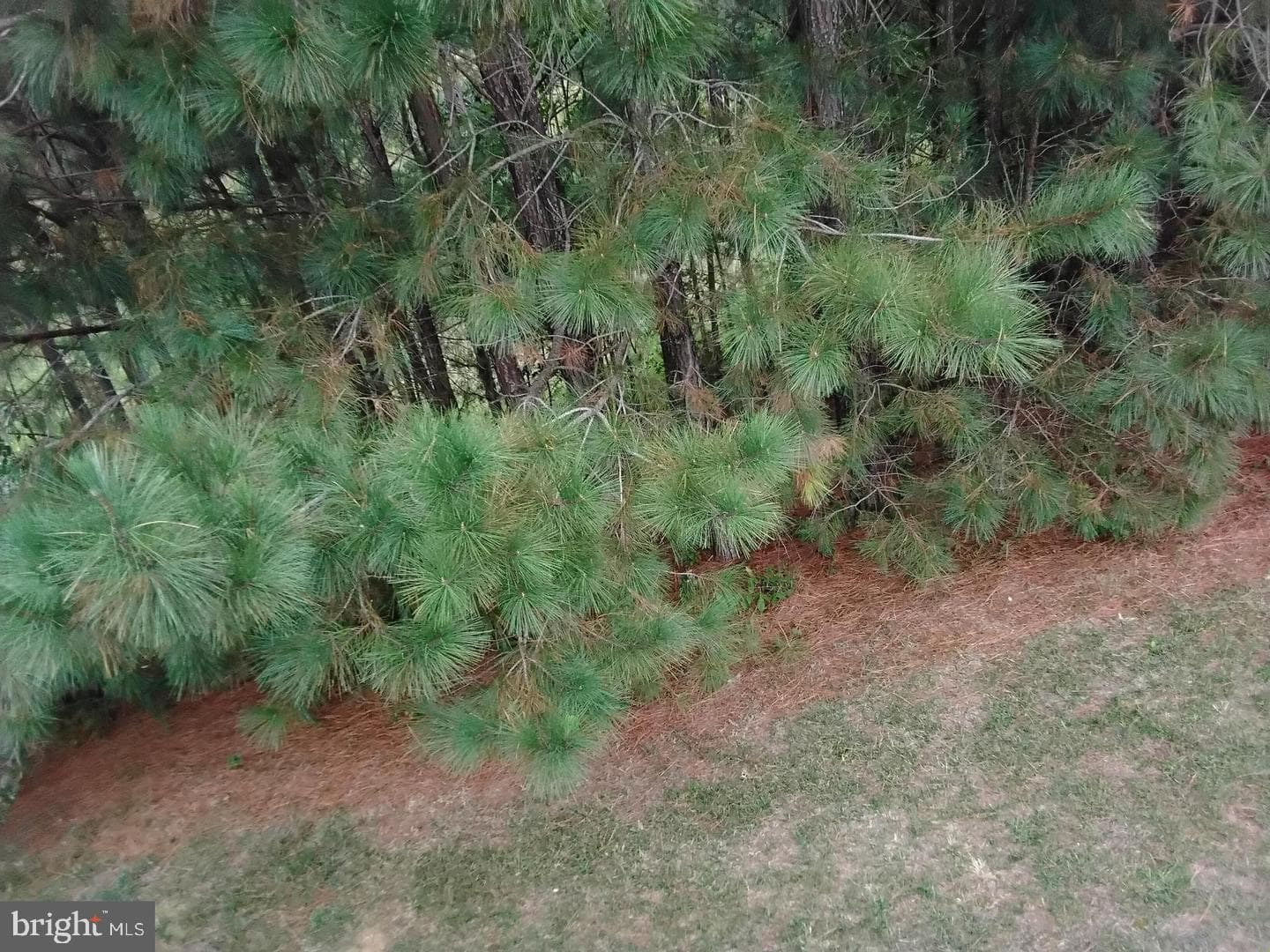 47286 Shelby Leigh Court photo 26