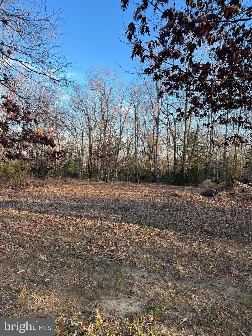 23660 Pine View Lane photo 4