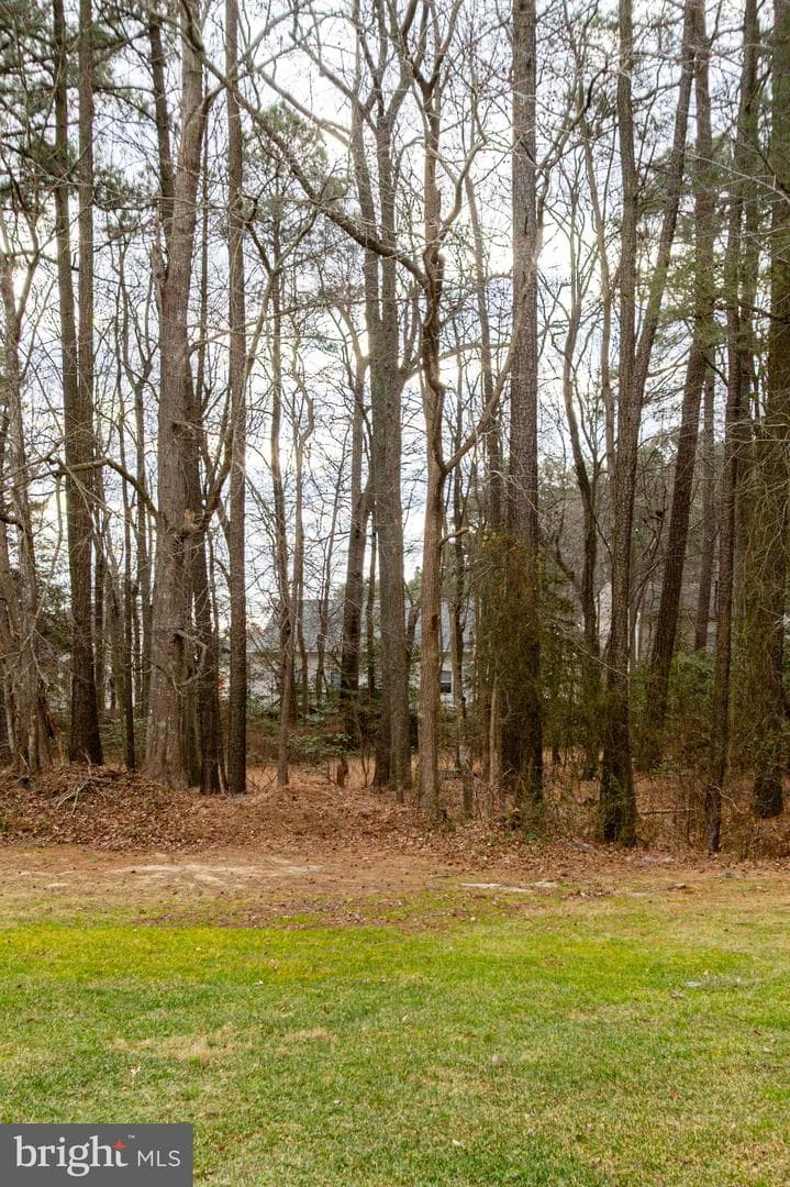 48247 Picketts Harbor Court photo 5