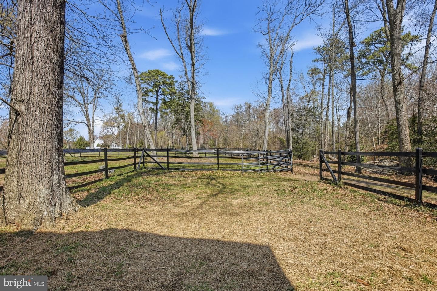 49730 School House Lane photo 111