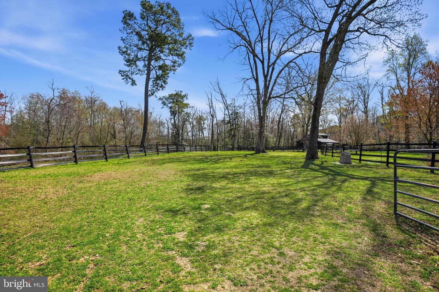 49730 School House Lane photo 124