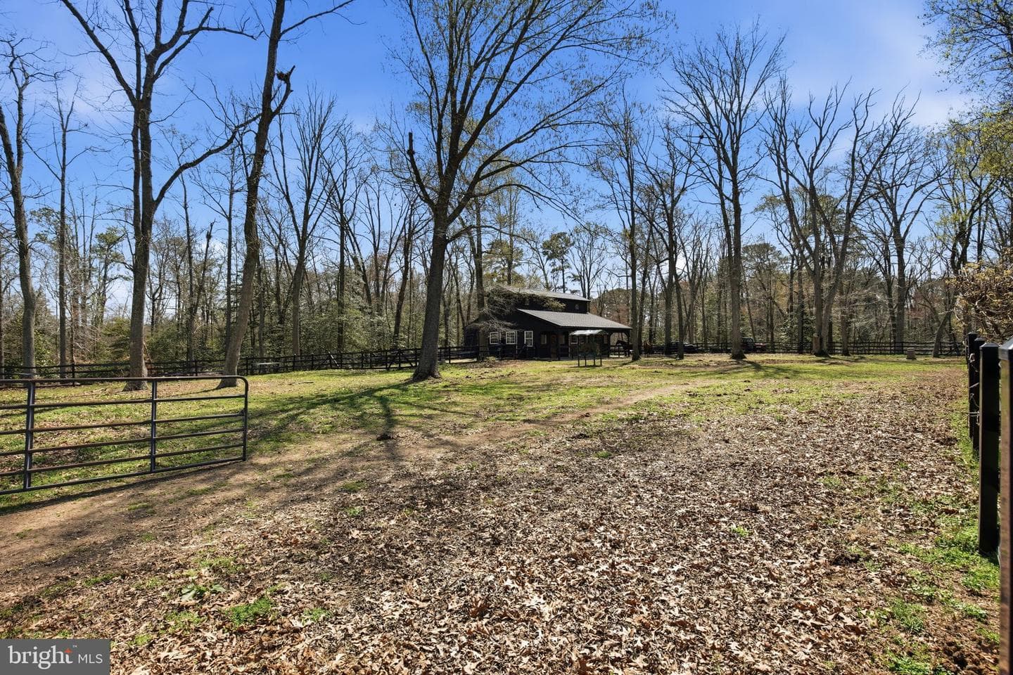 49730 School House Lane photo 126