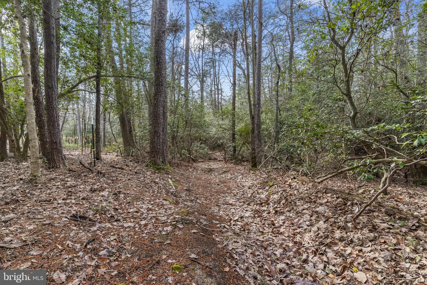 46118 Edgemore Way photo 65