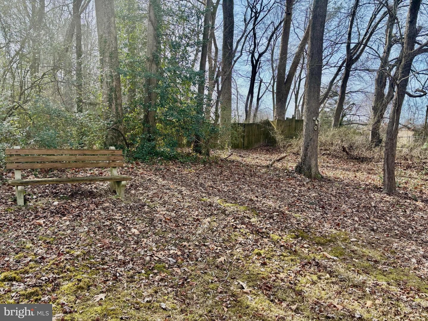 26941 Dogwood Lane photo 35