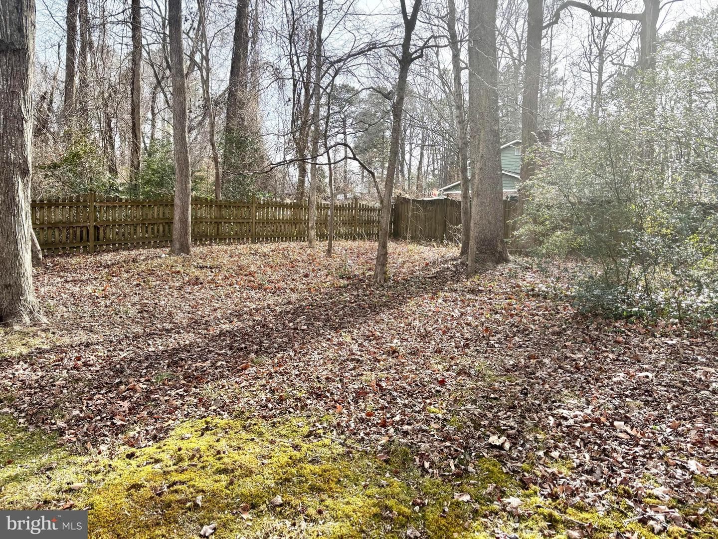 26941 Dogwood Lane photo 36