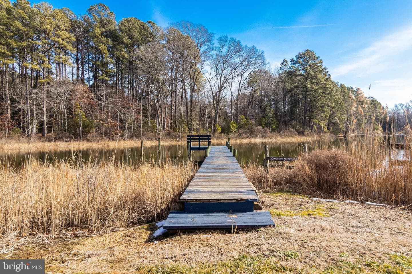 20960 Olen Mattingly Road photo 32