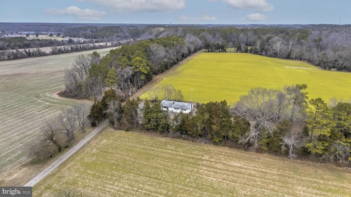 16320 Point Lookout Road photo 18