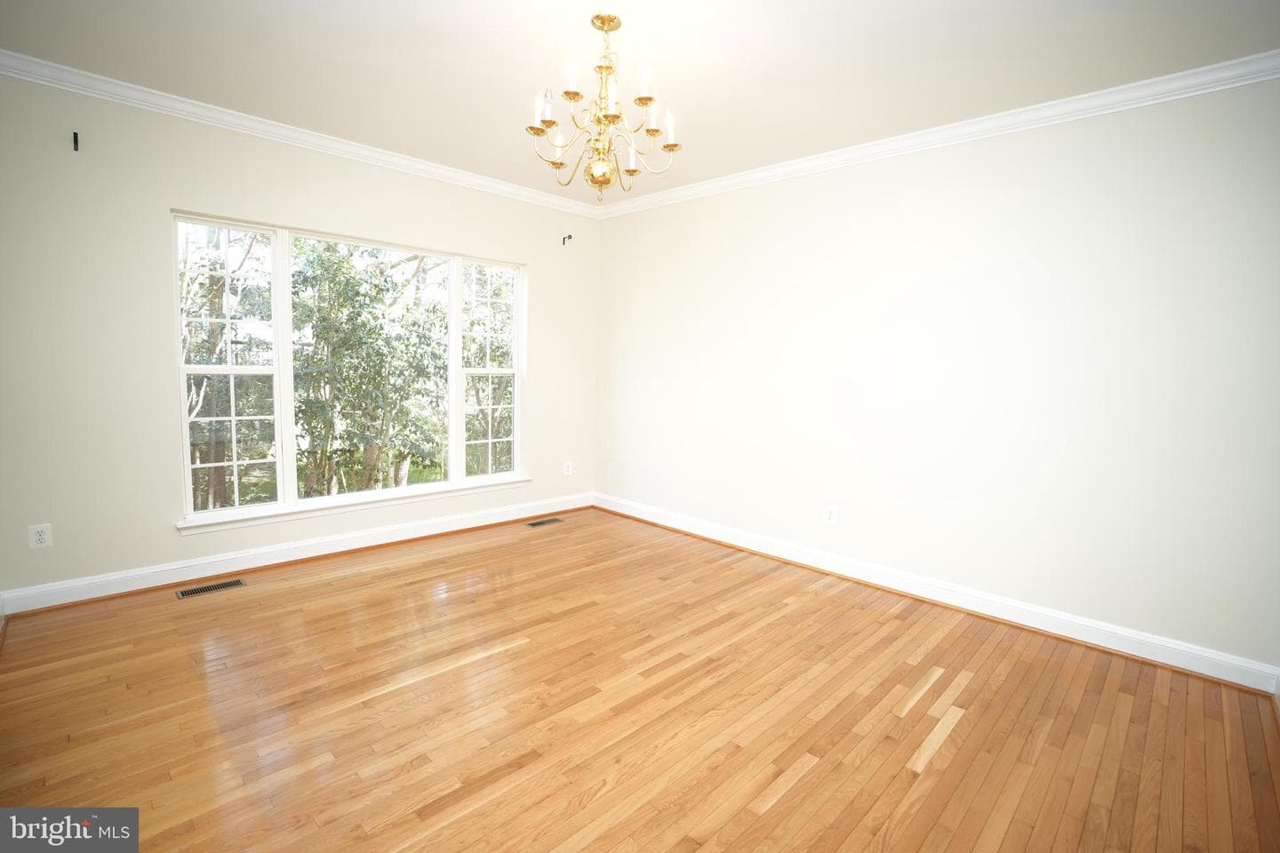 23422 Camellia Court photo 17