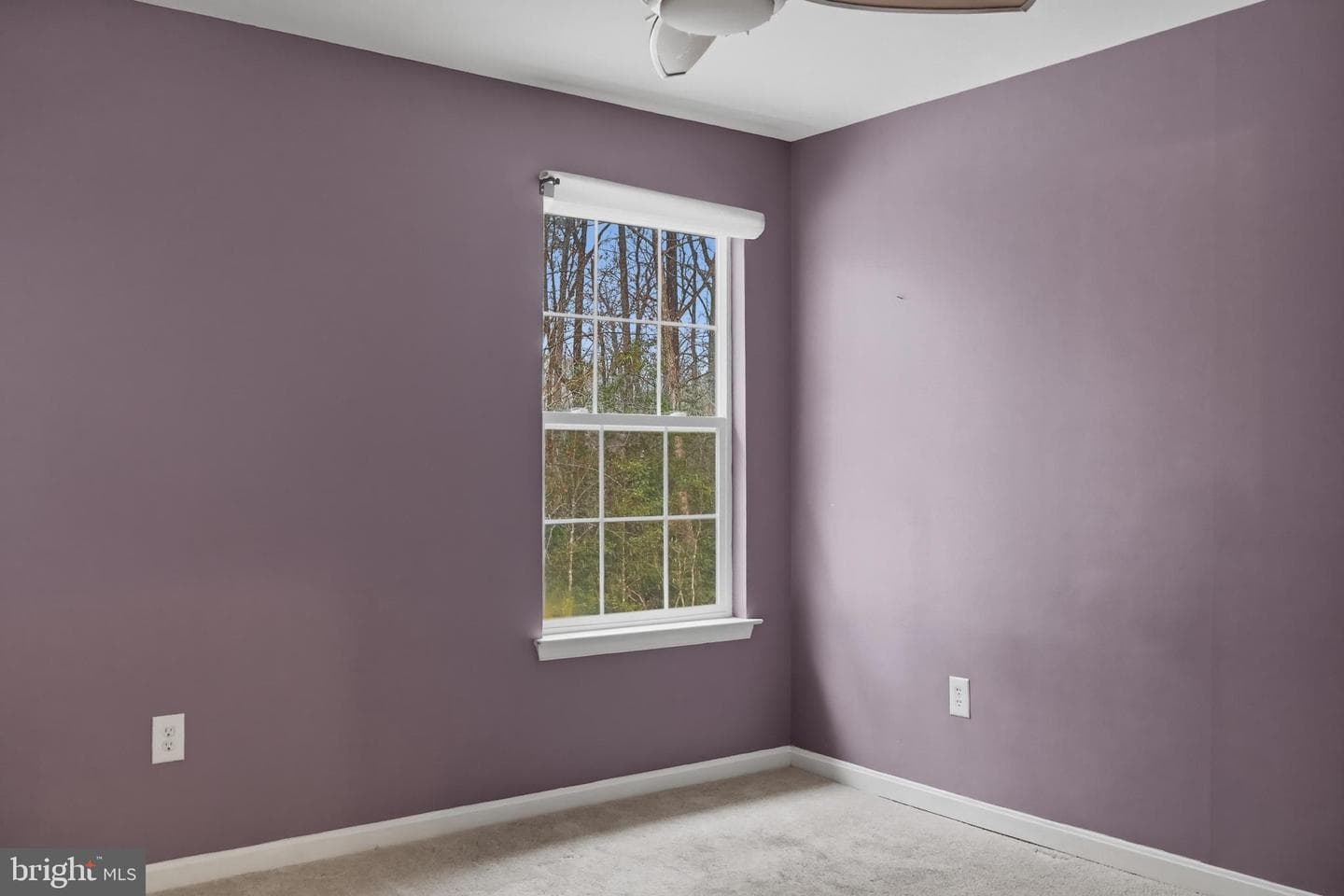 21355 Birdseye Court photo 32