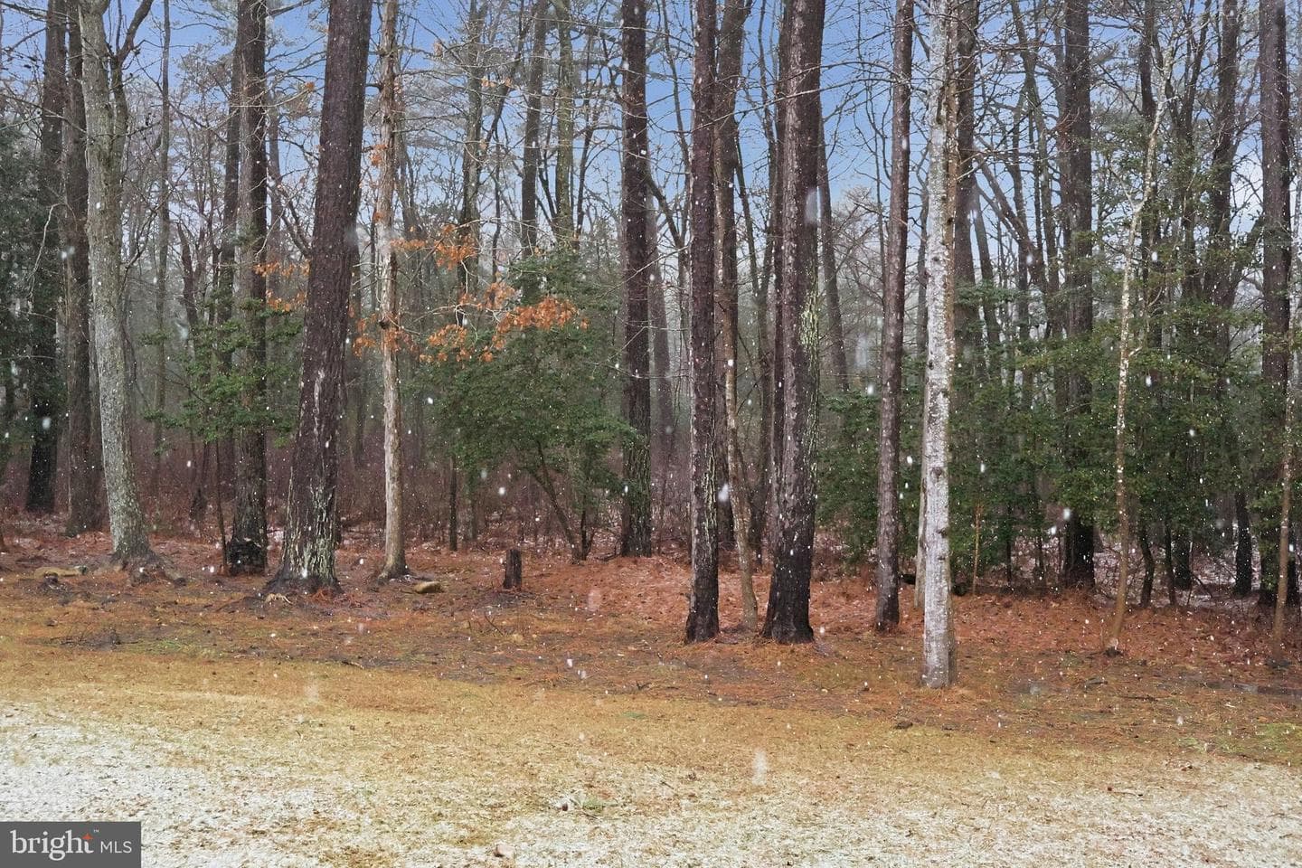 21355 Birdseye Court photo 43