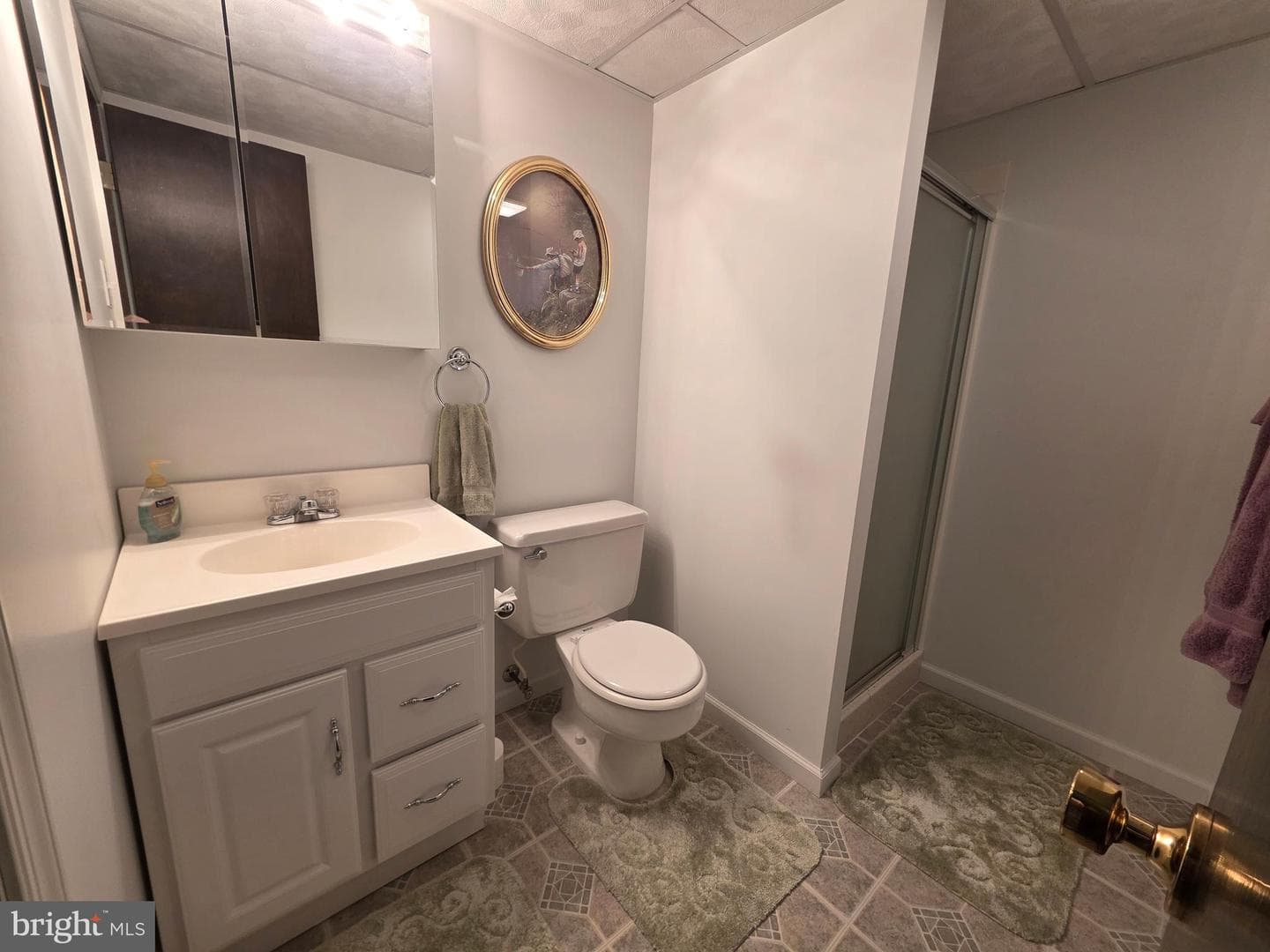 26654 Forest Hall Drive photo 30