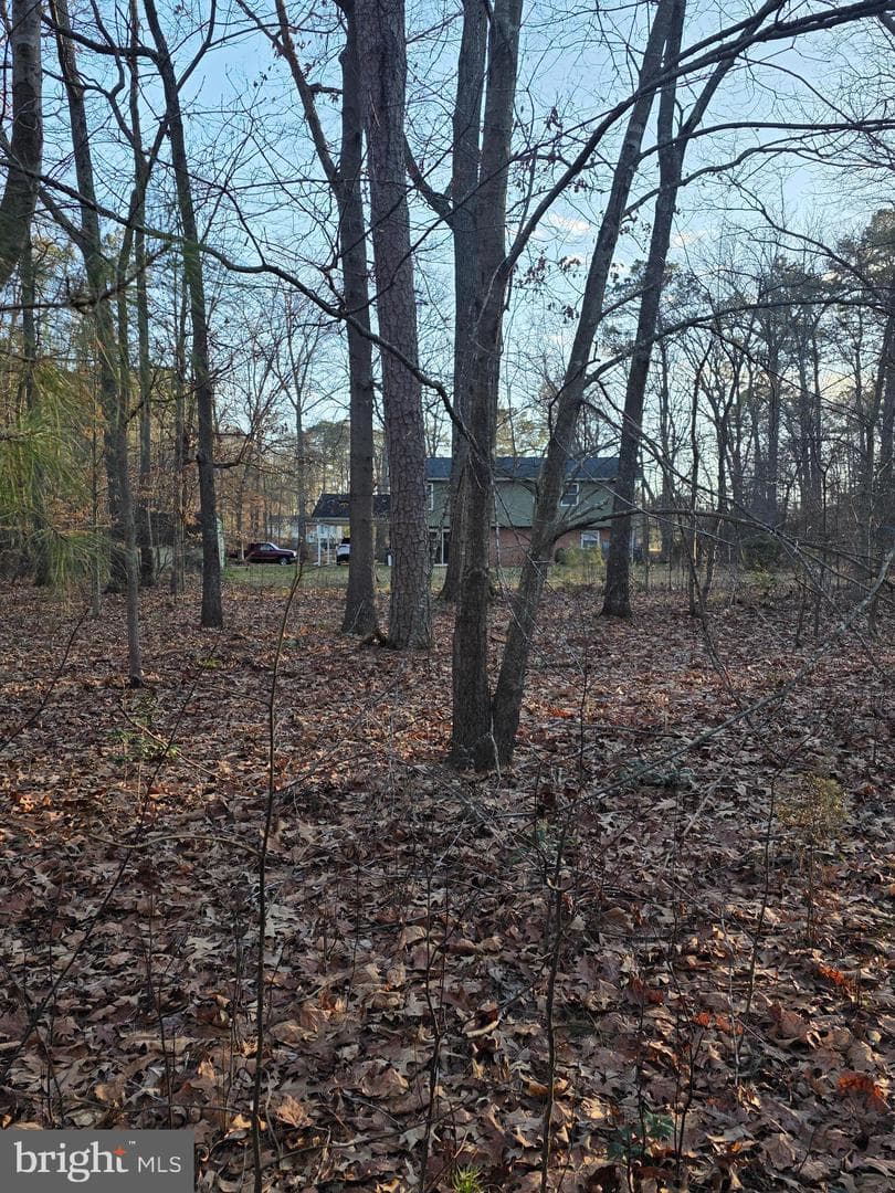 26654 Forest Hall Drive photo 42