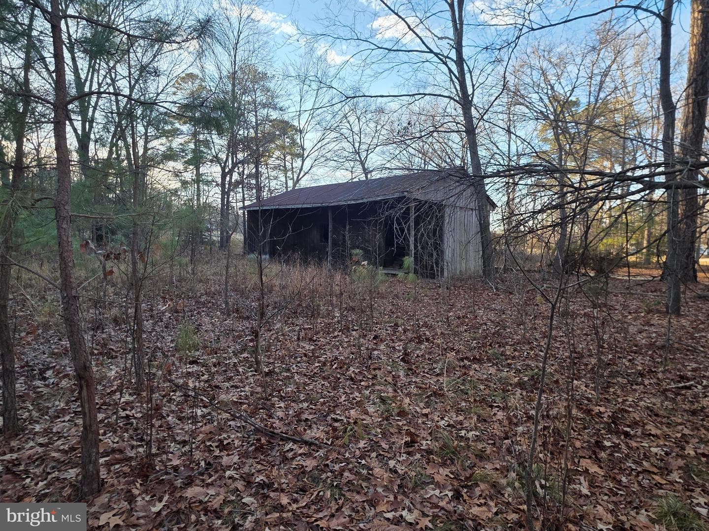 26654 Forest Hall Drive photo 50