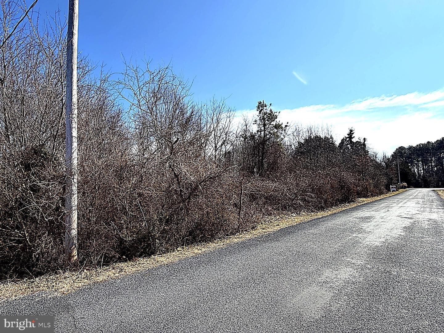 20910 Olen Mattingly Road photo 3