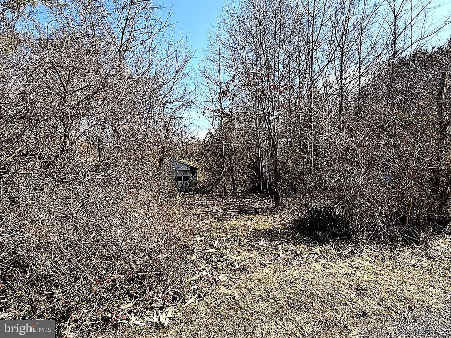 20910 Olen Mattingly Road photo 4