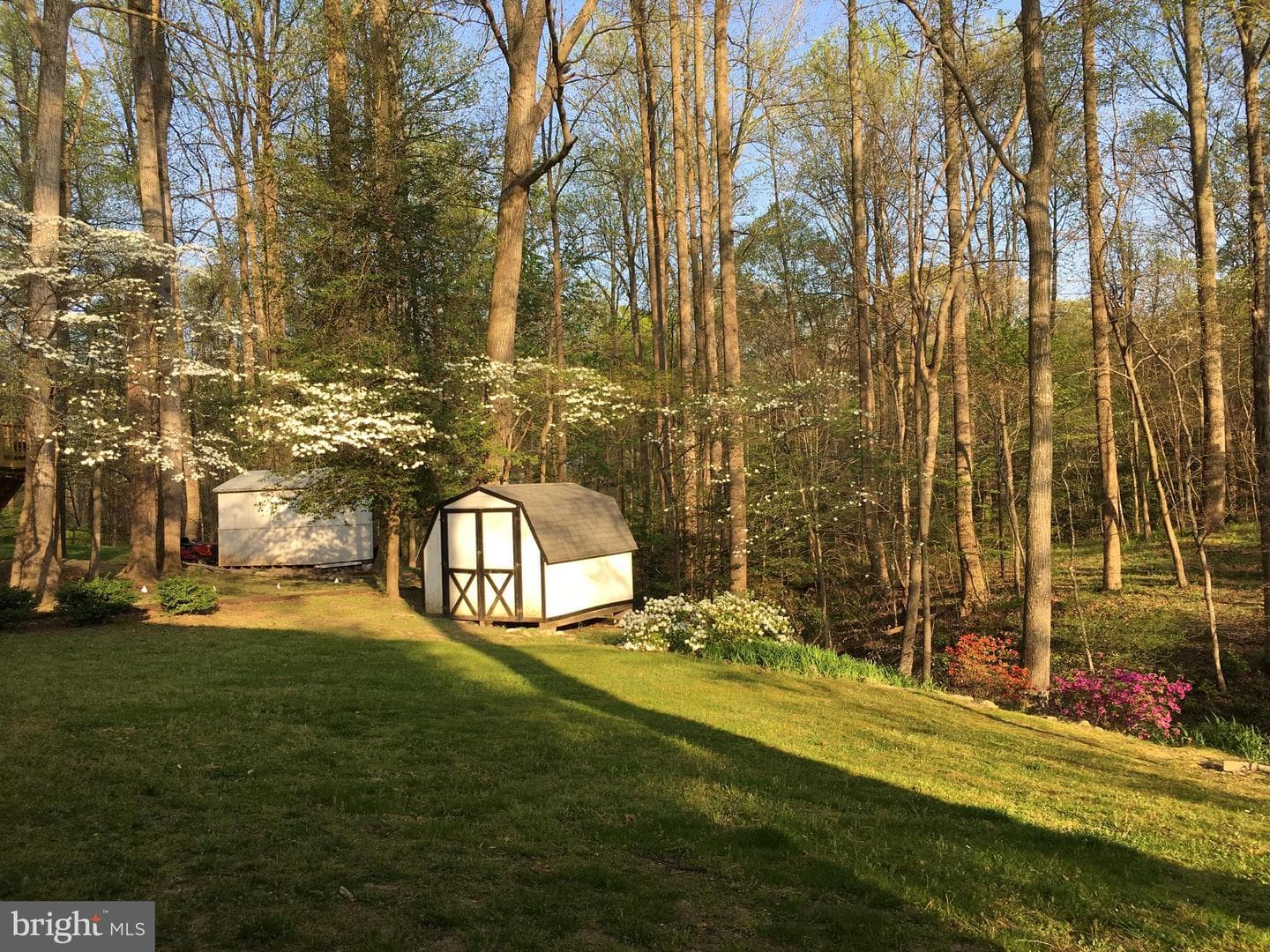 29910 Richard Circle photo 34