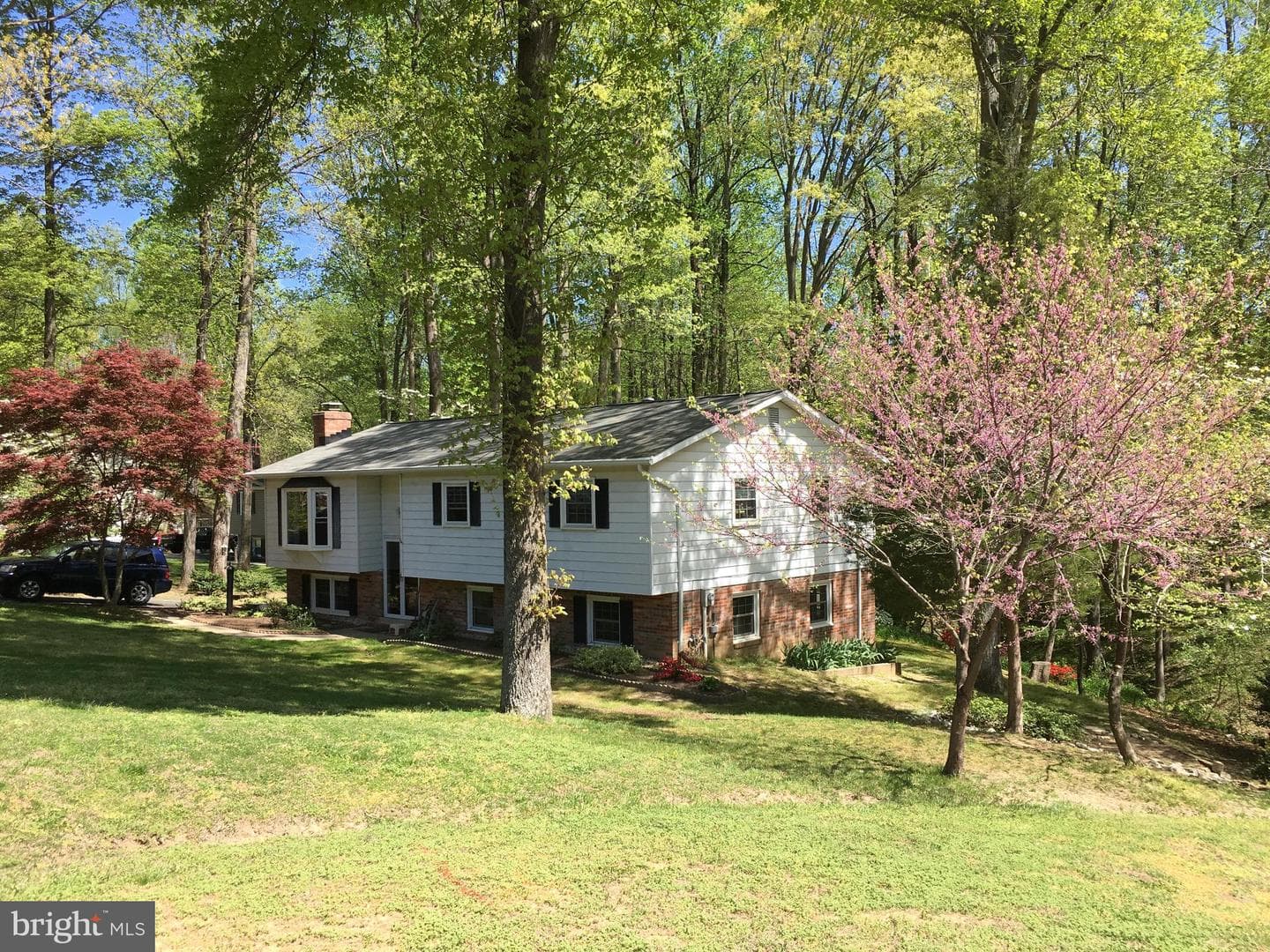 29910 Richard Circle photo 40