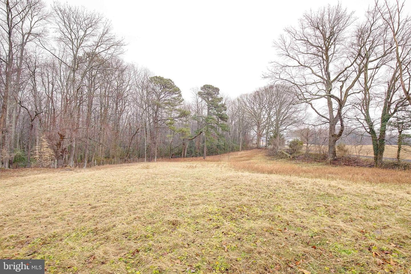 24820 Sotterley Road photo 57