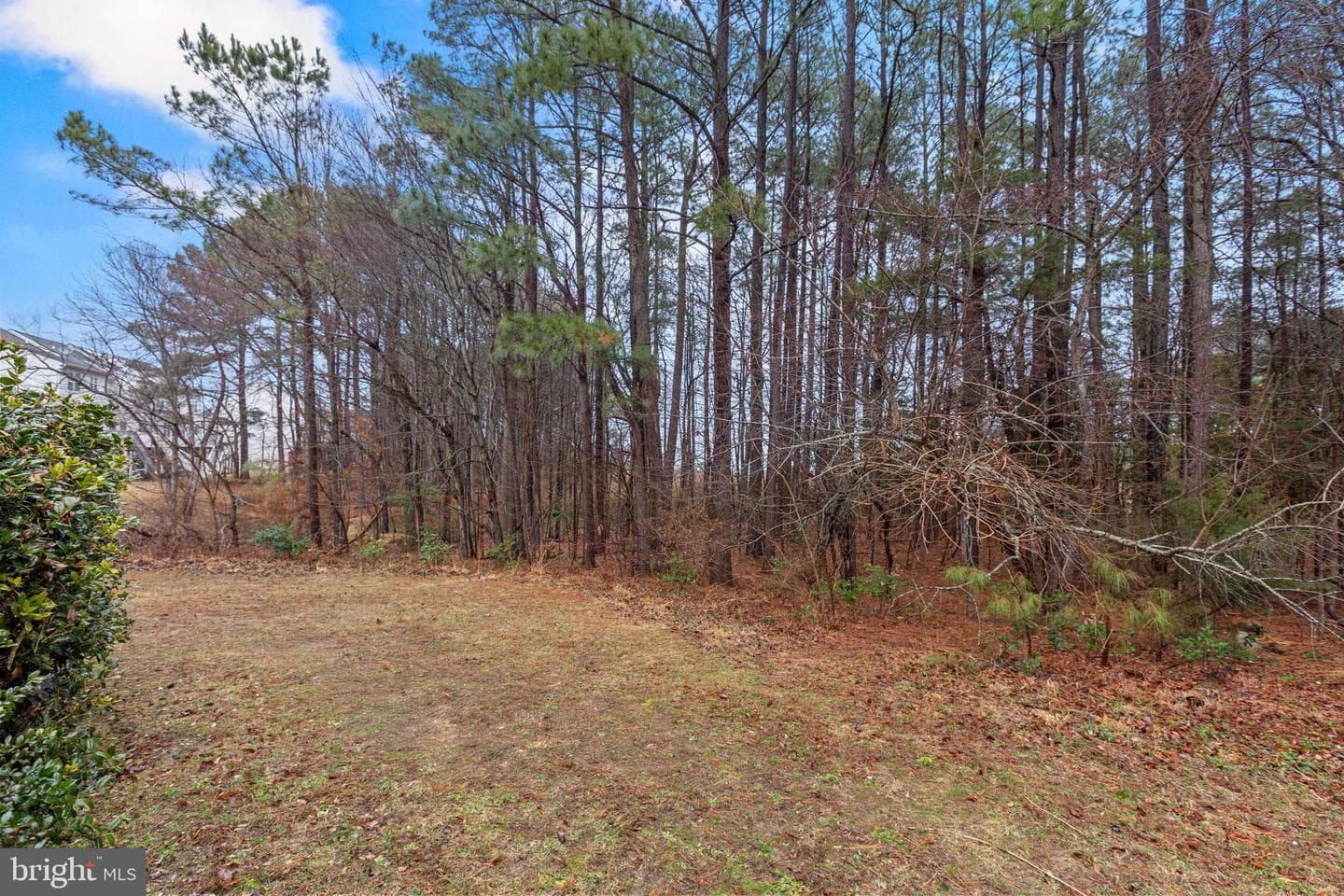 48375 Sunburst Drive photo 14