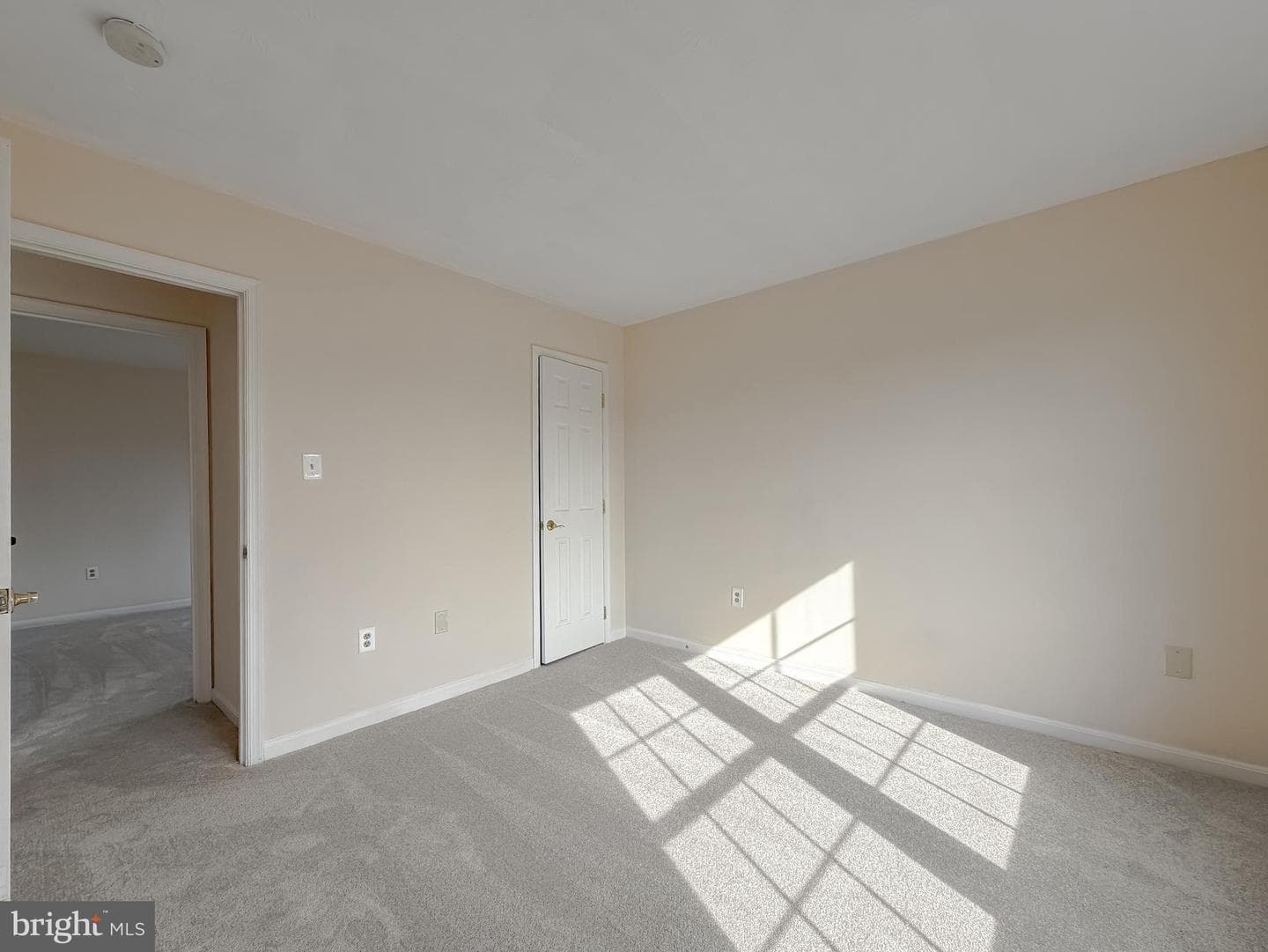 22671 Kinnegad Drive photo 31