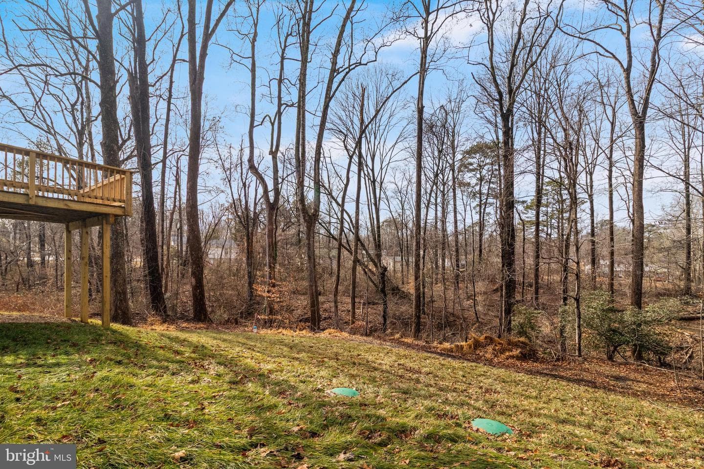 29057 Ann Circle photo 63